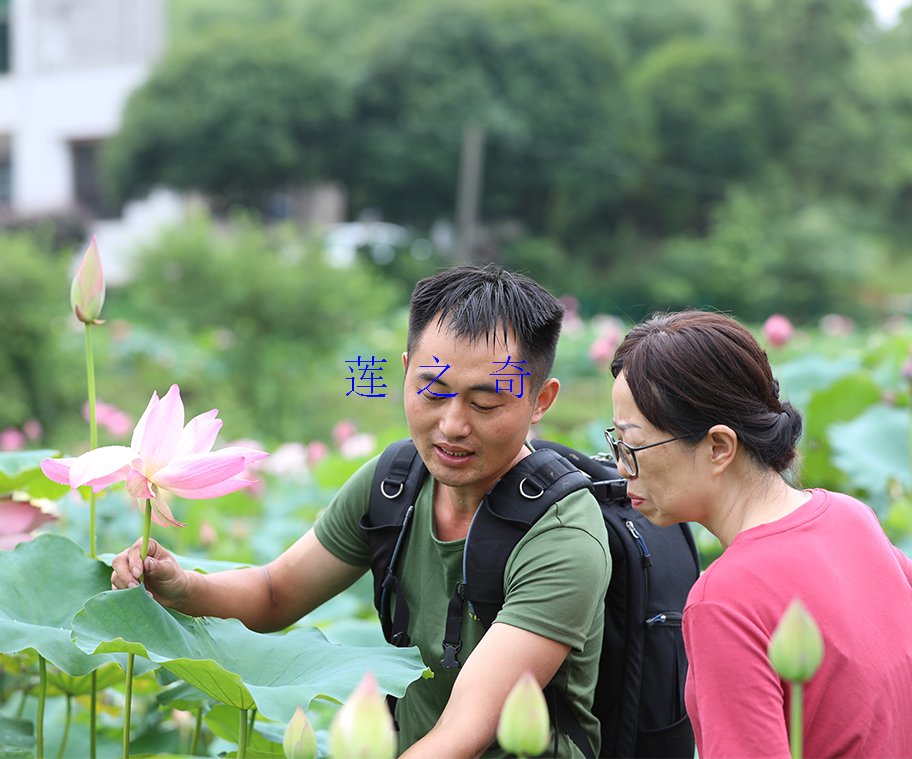 客户参观