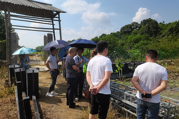 田博士带领各界领导参观莲之奇荷花种植基地